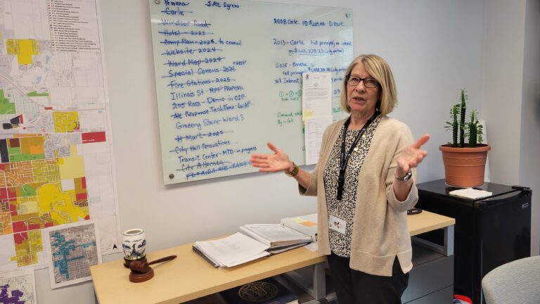 Diane Wolfe Marlin stands in front of a whiteboard in Urbana City Hall on April 16, 2025.