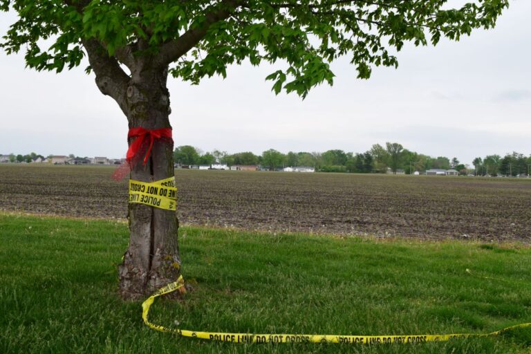 Chatham accident scene